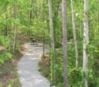 Picture of River in Bankhead National Forest