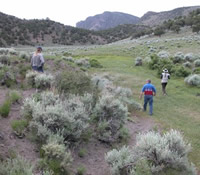 Stakeholders walking thru a grazing area