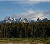 The mountains and forest of the Sawtooth National Recreation Area
